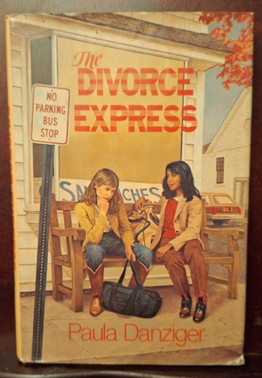 The Divorce Express